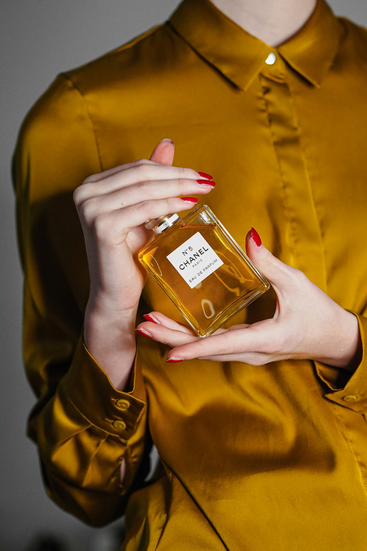 Discover Our Premium Collection